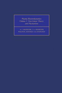 Produktbild: Non-Linear Theory and Fluctuations