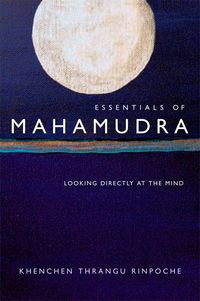 Produktbild: Essentials of Mahamudra