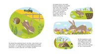 Der Hase entdeckt den Frühling