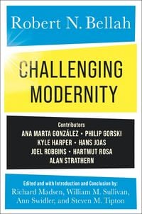 Produktbild: Challenging Modernity