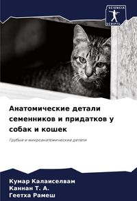 Produktbild: Anatomicheskie detali semennikow i pridatkow u sobak i koshek