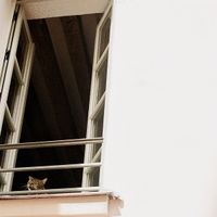 Produktbild: Something Soft