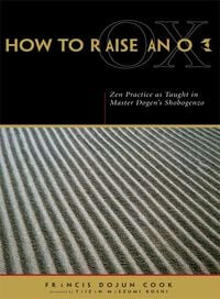 Produktbild: How to Raise an Ox