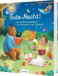 Produktbild: Gute Nacht!