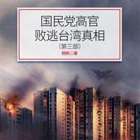 Produktbild: 国民党高官败逃台湾真相（第3部)