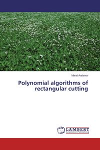 Produktbild: Polynomial algorithms of rectangular cutting
