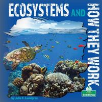 Produktbild: Ecosystems and How They Work
