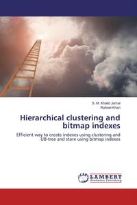 Produktbild: Hierarchical clustering and bitmap indexes