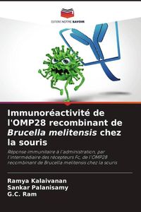 Produktbild: Immunor&eacute;activit&eacute; de l'OMP28 recombinant de Brucella melitensis chez la souris