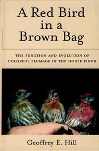 Produktbild: A Red Bird in a Brown Bag