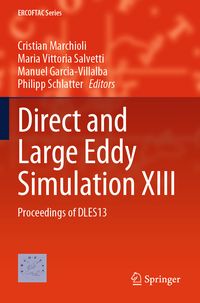 Produktbild: Direct and Large Eddy Simulation XIII