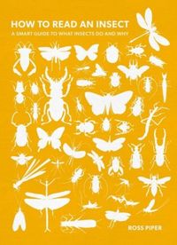 Produktbild: How to Read an Insect