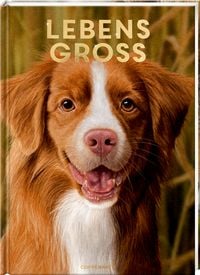 Produktbild: Lebensgro&szlig;