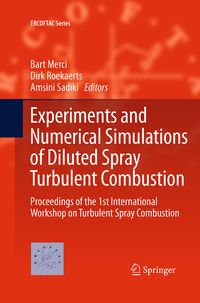 Produktbild: Experiments and Numerical Simulations of Diluted Spray Turbulent Combustion