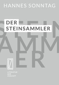 Produktbild: Der Steinsammler