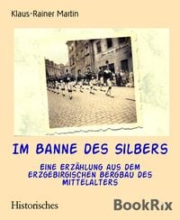Produktbild: Im Banne des Silbers
