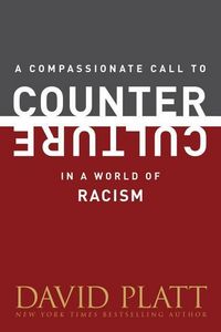 Produktbild: In a World Of Racism