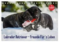 Produktbild: Labrador Retriever - Freunde f&uuml;r&acute;s Leben (Tischkalender 2026 DIN A5 quer), CALVENDO Monatskalender