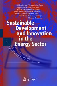 Produktbild: Sustainable Development and Innovation in the Energy Sector