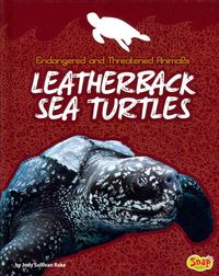 Produktbild: Leatherback Sea Turtles