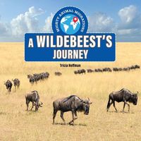 Produktbild: A Wildebeest's Journey