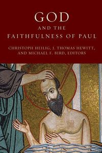 Produktbild: God and the Faithfulness of Paul