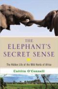 Produktbild: The Elephant's Secret Sense