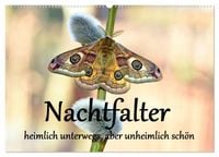 Produktbild: Nachtfalter - heimlich unterwegs, aber unheimlich sch&ouml;n (Wandkalender 2026 DIN A2 quer), CALVENDO Monatskalender