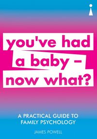 Produktbild: A Practical Guide to Family Psychology
