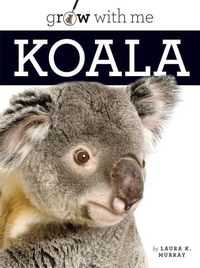 Produktbild: Koala