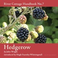 Produktbild: Hedgerow