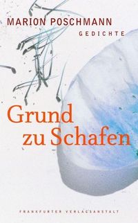Bild vom Artikel Grund zu Schafen vom Autor Marion Poschmann