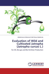 Produktbild: Evaluation of Wild and Cultivated Jatropha (Jatropha curcas L.)