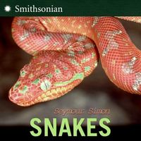 Produktbild: Snakes