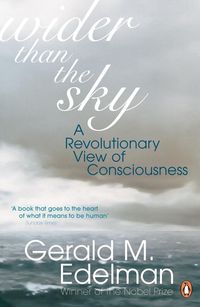 Produktbild: Wider Than the Sky