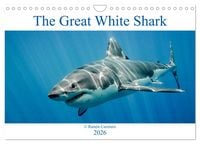 Produktbild: The Great White Shark: King of the Ocean (Wall Calendar 2026 DIN A4 landscape), CALVENDO 12 Month Wall Calendar