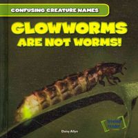 Produktbild: Glowworms Are Not Worms