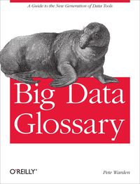 Produktbild: Big Data Glossary