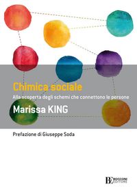 Produktbild: Chimica sociale. Alla scoperta degli schemi che connettono le persone