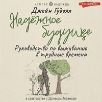 Produktbild: Nadyozhnoe buduschee. Rukovodstvo po vyzhivaniyu v trudnye vremena