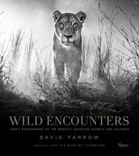 Produktbild: Yarrow, D: Wild Encounters