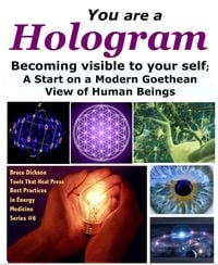 Produktbild: You Are a Hologram Becoming Visible to Your Self; A Start on a Modern Goethean View of Human Beings