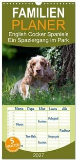 Produktbild: Familienplaner 2027 - English Cocker Spaniels - Ein Spaziergang im Park mit 5 Spalten (Wandkalender, 21 x 45 cm) CALVENDO
