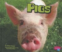 Produktbild: PIGS