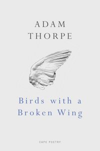 Produktbild: Birds With A Broken Wing