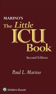 Produktbild: The Little ICU Book