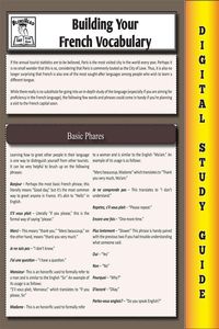 Produktbild: French Vocabulary (Blokehead Easy Study Guide)