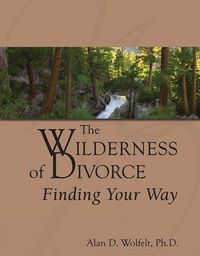 Produktbild: The Wilderness of Divorce