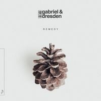 Produktbild: Remedy