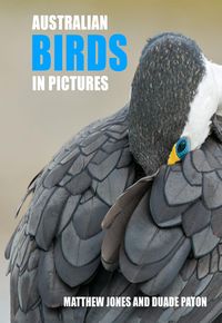 Produktbild: Paton, D: Australian Birds in Pictures